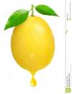 fresh-lemon-drop-juice-isolated-white-35838806